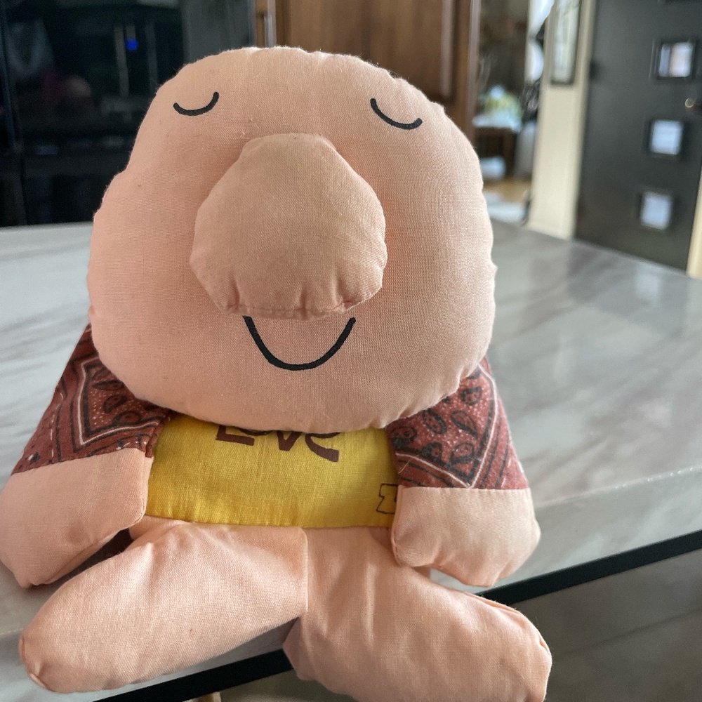 VTG KNICKERBOCKER TOY CO. ZIGGY "EVERYONE NEEDS LOVE" BEAN BAG DOLL